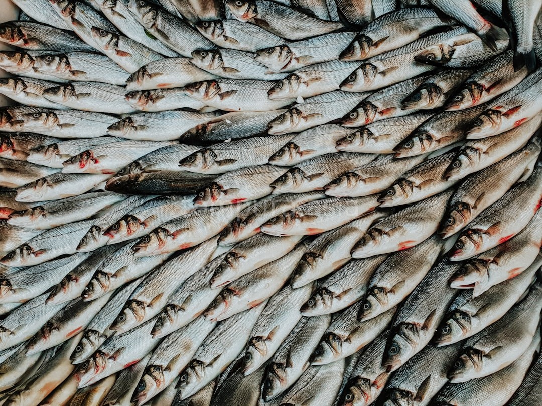 Shellfish