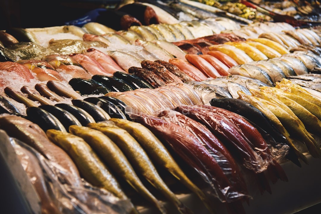 Fresh Fish